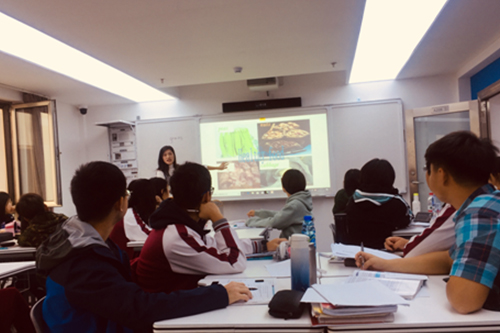 北京外國語大學國際高中