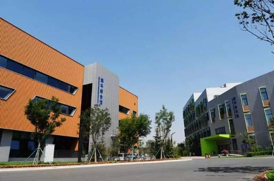 國際學校